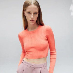 NWT Zara Ribbed Knit Crop Top